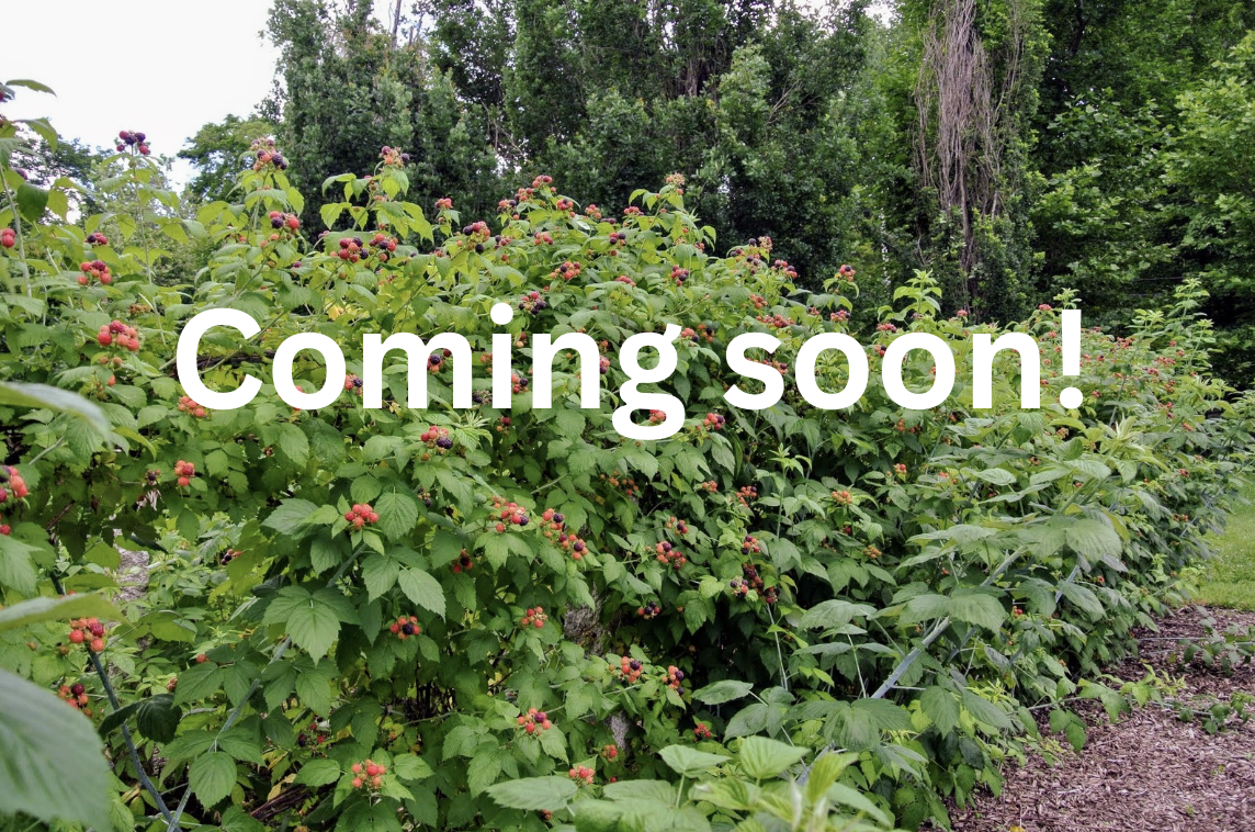 Raspberry farming smart monitoring system