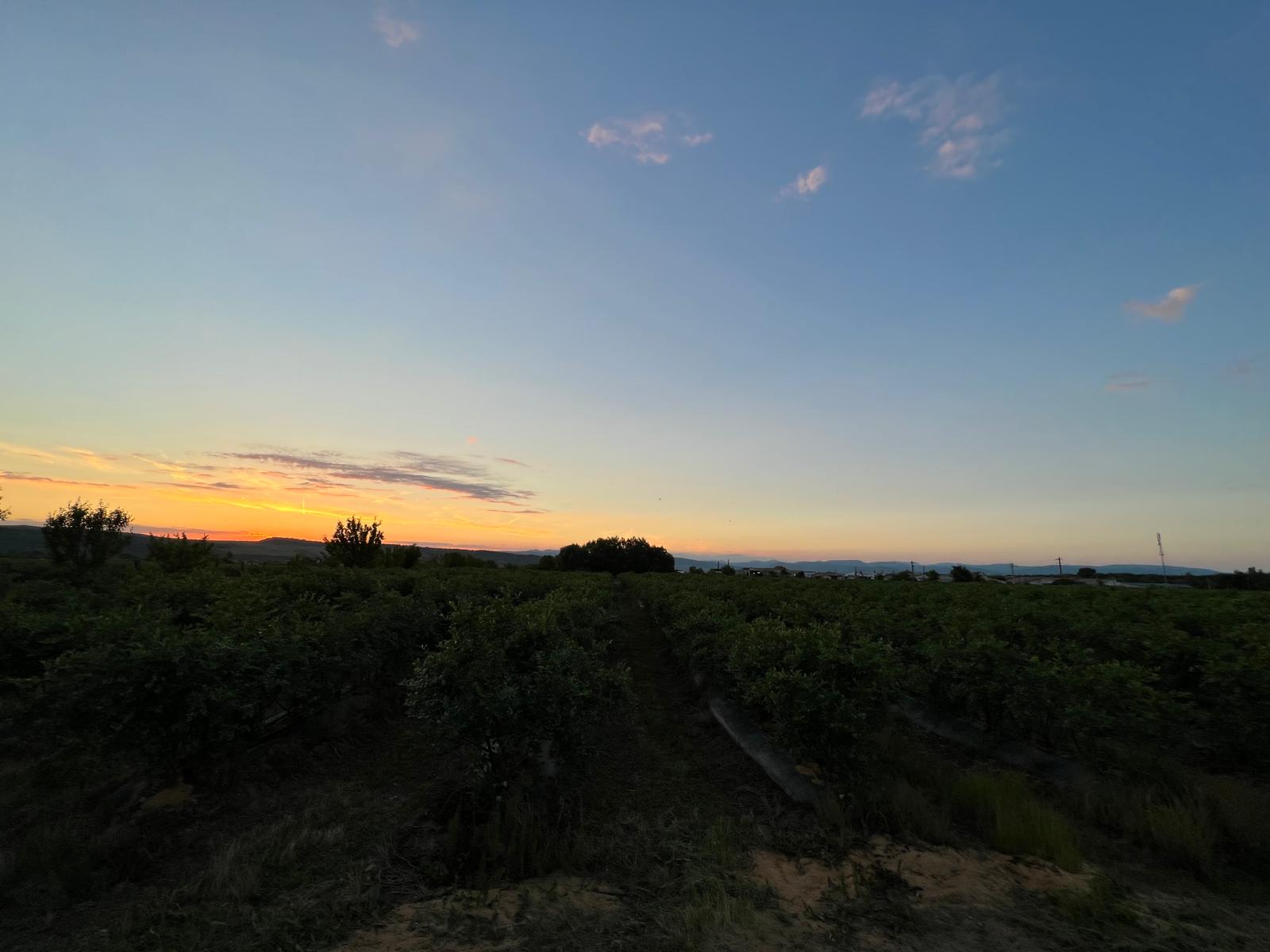 Smart farming sensor system in action